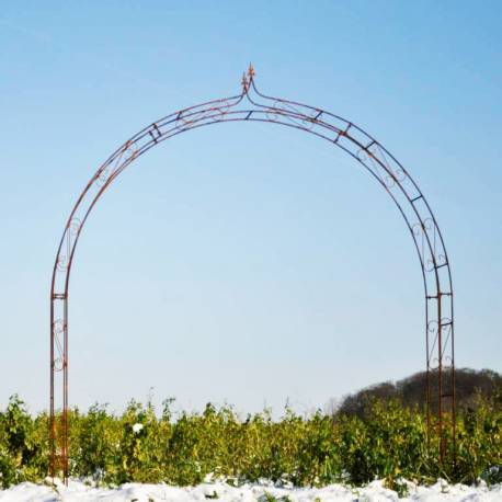 Sublime Arche Fleur de Lys Tuteur Arc à Rosiers Passage de Jardin en Acier Oxydé 33x283x260cm