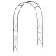 Arche Volutes Arche à Fleurs Rosiers Tuteur Plantes de Jardin Passage en Métal Noir 37x152,5x217,5cm