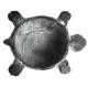 Tortue Cache Clés Sculpture Statuette Décoration Cache Clefs en Fonte Patinée Grise 6x8,50x12cm
