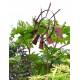 Eolienne Moulin à Vent Mobile Décoration de Jardin en Acier Brut Oxydé 50x55x235cm