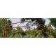 Grande Tonnelle Rectangulaire Gloriette de Jardin en Acier Brut Oxydé 225x310x385cm