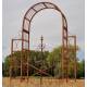 Portail Chambord Acier Oxydé Arche à Double Portes Support à Grimpants Porte Extérieure 50x200x245cm