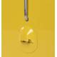 Glacière Portable Be Wine Olive Zuiver en Polypropylène Format Compact pour Boissons 23,5x32x43cm