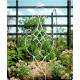 Grande Grille Treillis de Jardin Tuteur à Fleurs Plantes en Acier et Oiseaux en Fonte Blanc 2x40x122cm