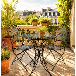 Salon de Jardin 2 Personnes Papillon Salon de Thé Bistrot 1 Table 2 Chaises Pliables en Fer Marron