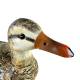 Canard Ben en Acier Coloré Animal de Jardin Décoration Extérieur Style Campagne 19x34x41cm